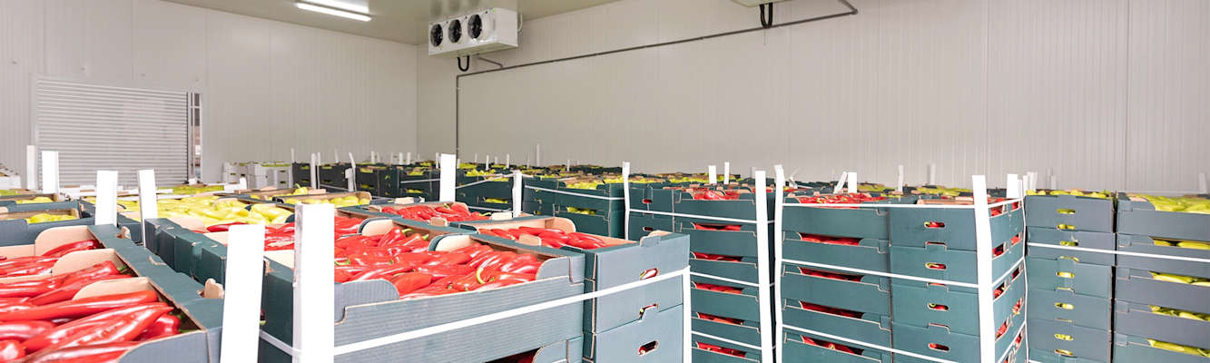 Food-and-beverage_Case-study_Food-warehouse_UK-banner