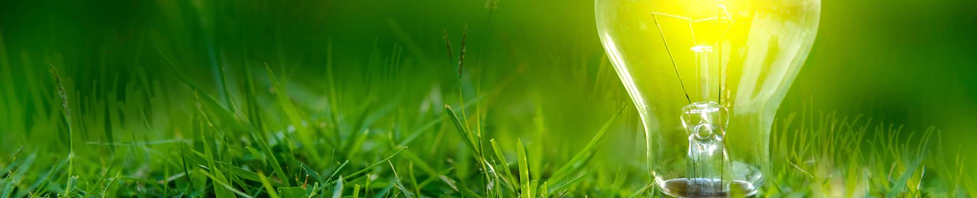 lightbulb-in-grass-hero