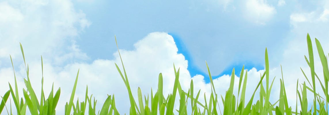 green-grass-clouds_c