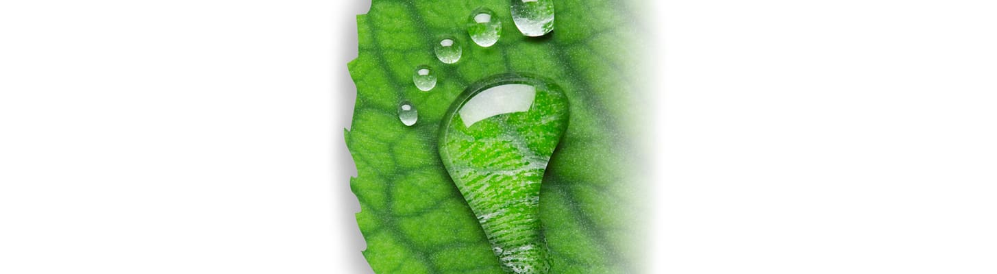 green-leaf-water-drop-footprint_c