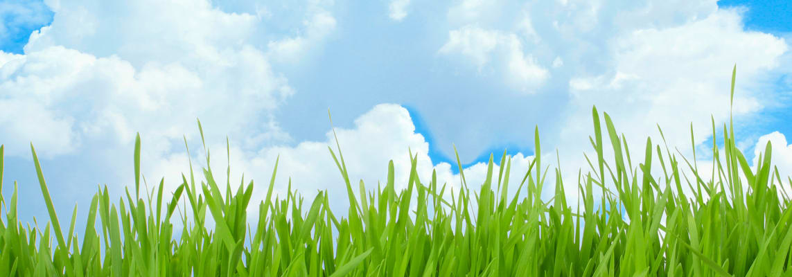green-grass-clouds_c