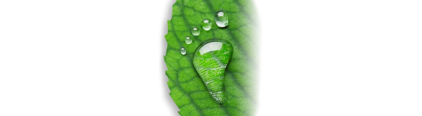 green-leaf-water-drop-footprint_c