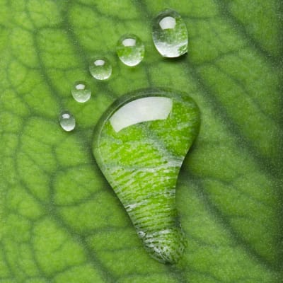 green-leaf-water-drop-footprint_sq