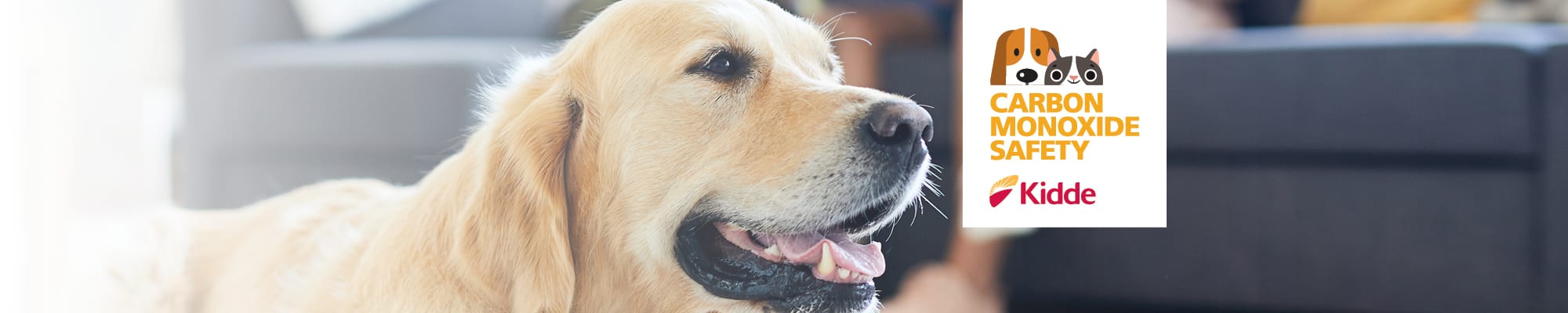 035697_PetCOSafety_Web_Home_Slider_FIN_v3