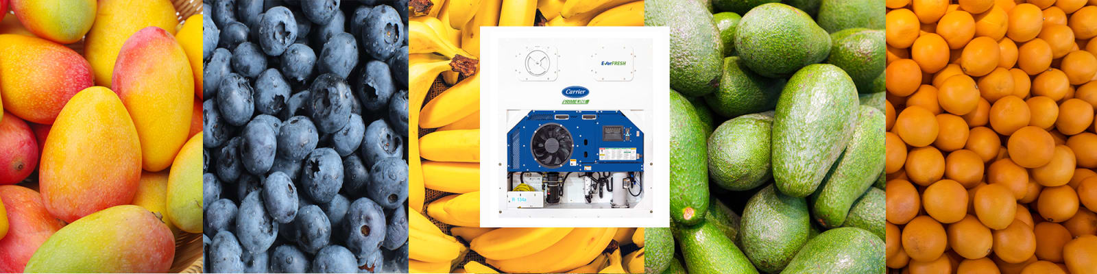 EverFRESH-hero-banner-2021