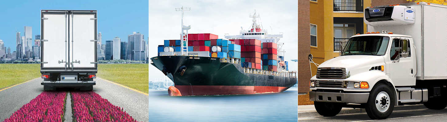 carrier-hero-transform-line-2000x550