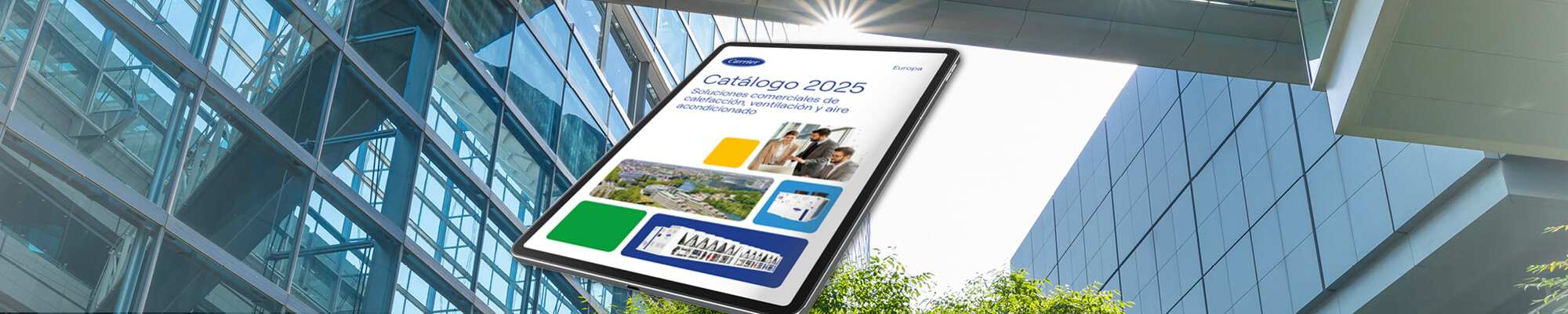 carrier-banner-catalogue-2025-es