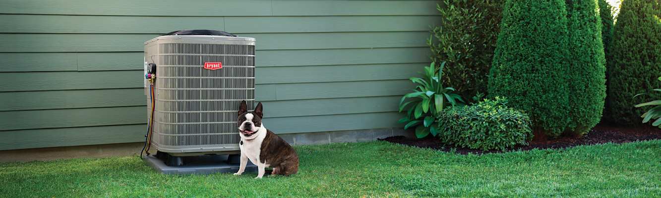 braynt-pup-sitting-next-to-an-air-conditioner-in-the-backyard