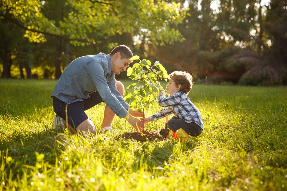 man-and-boy-planting-tree