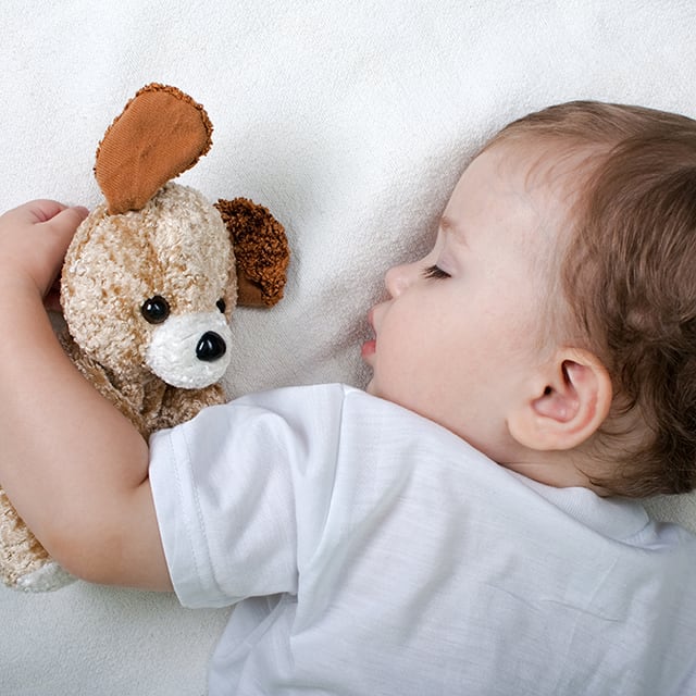 baby-sleeping-teddy-bear-1x1