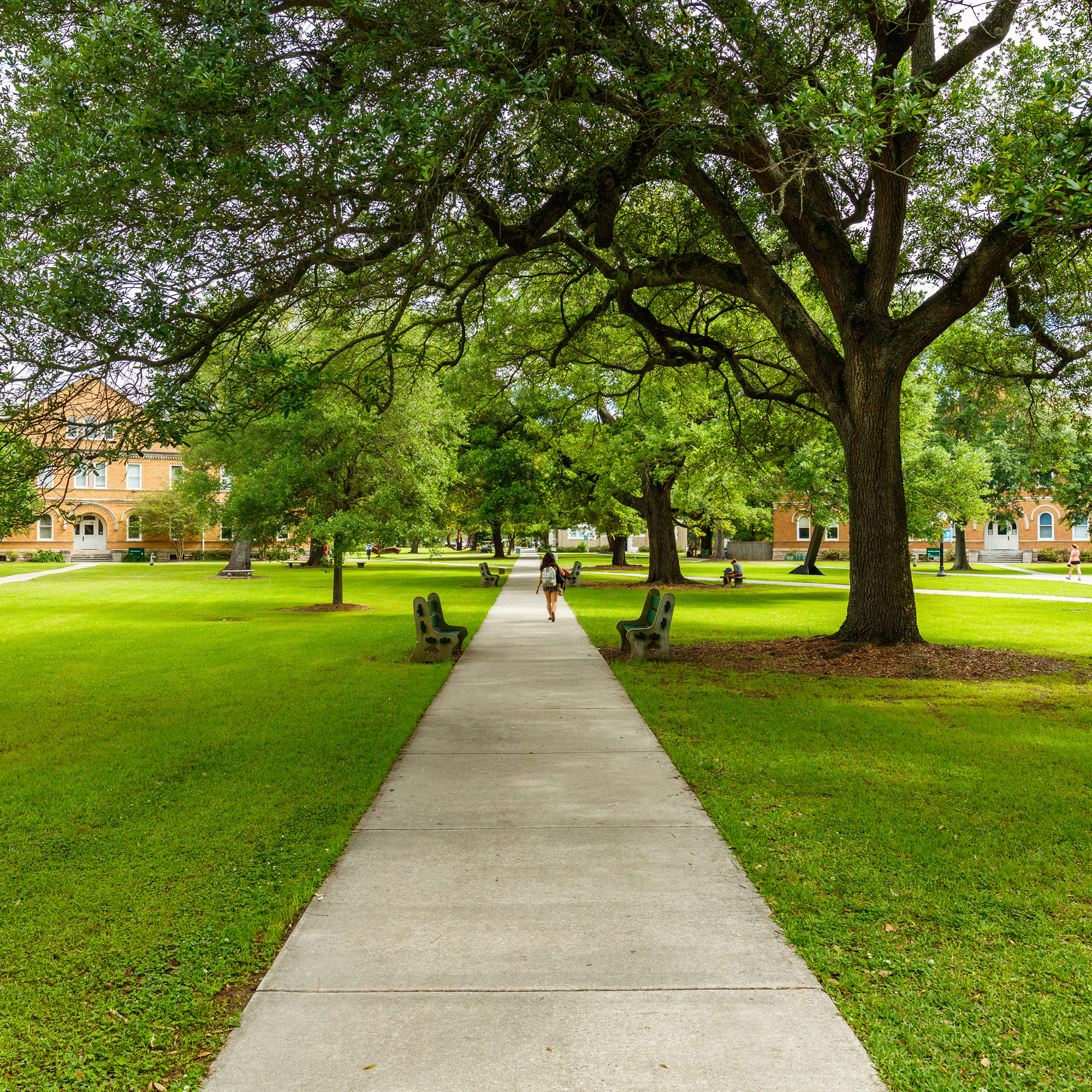 university-campus-1x1