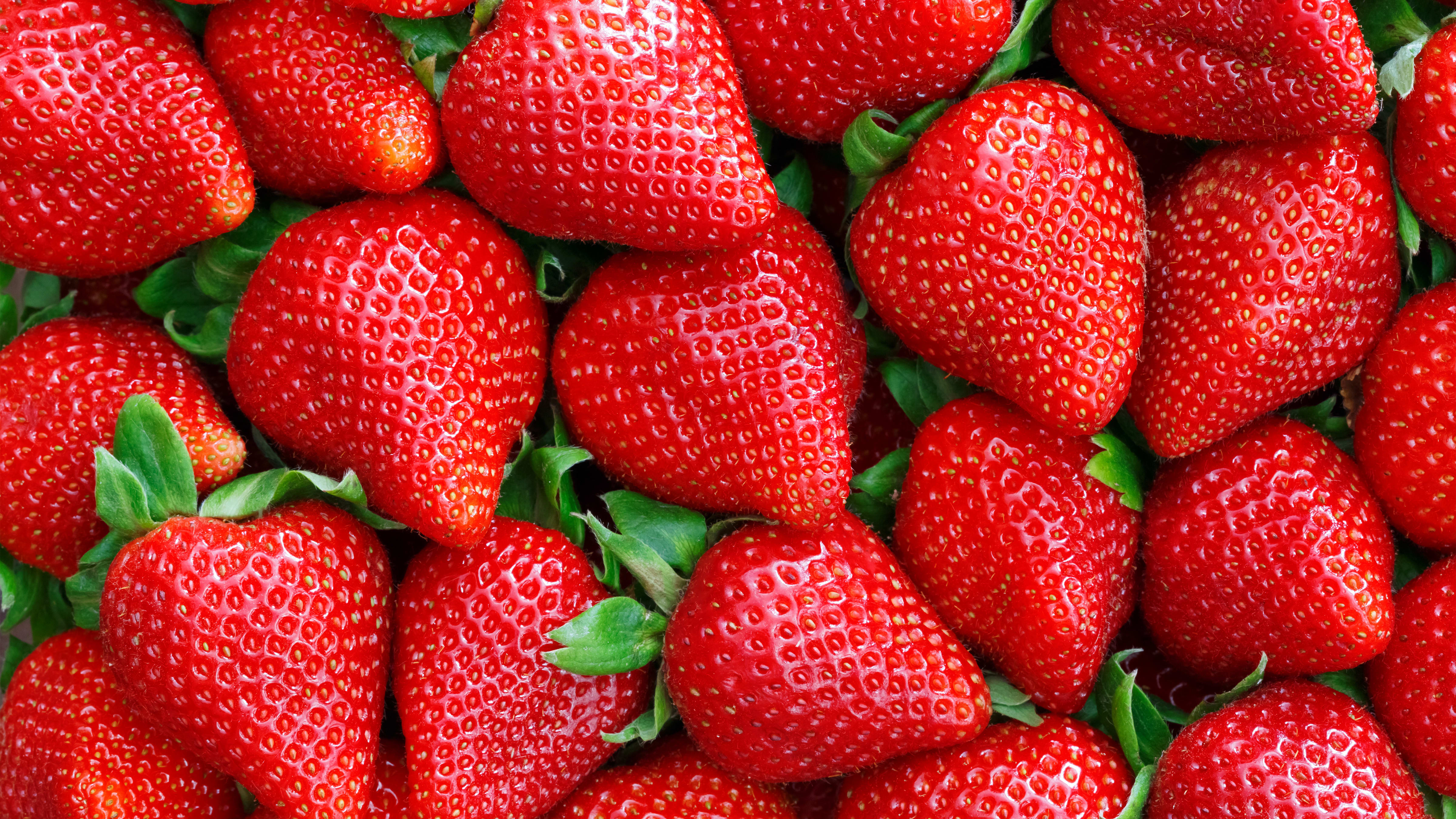 Keeping_Strawberries_Refrigerated_16x9