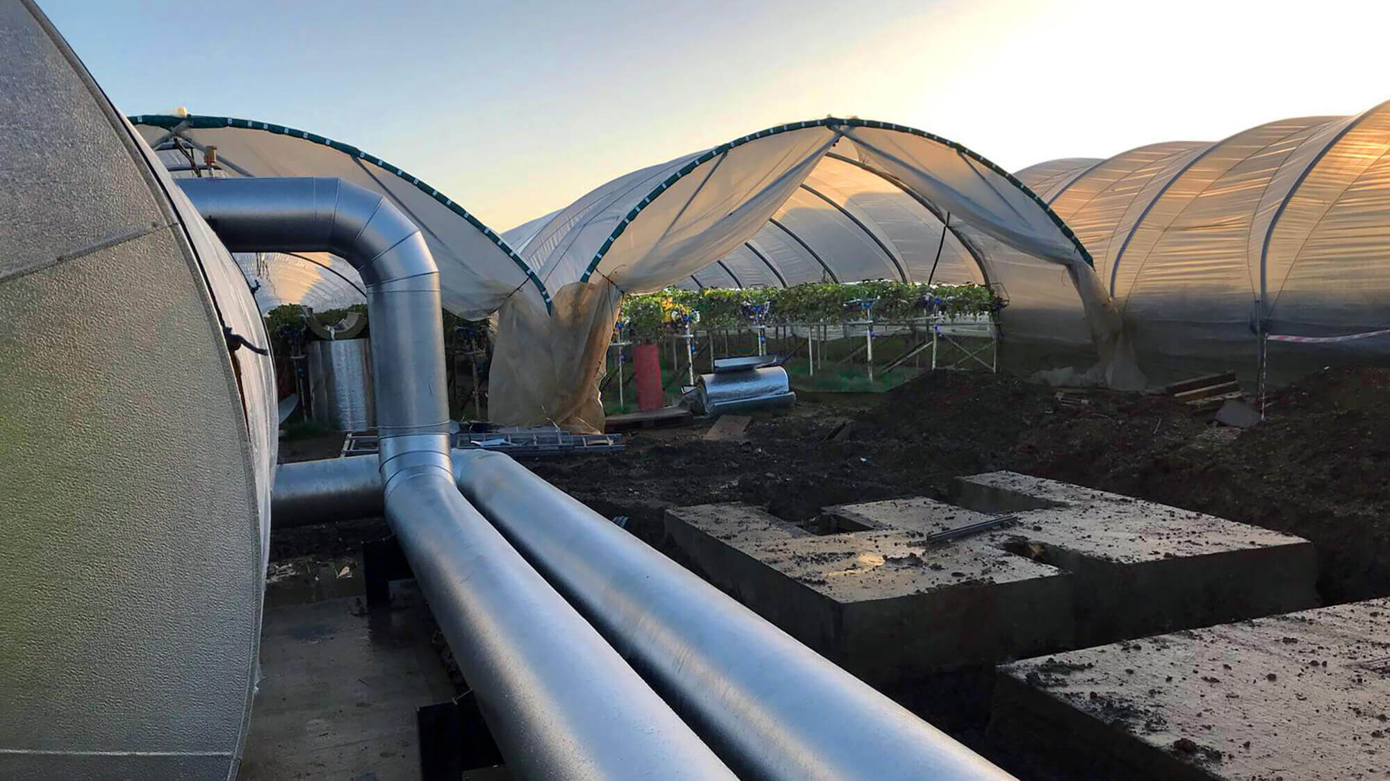 growing-tunnels-are-heated-by-the-heat-pump-system-h