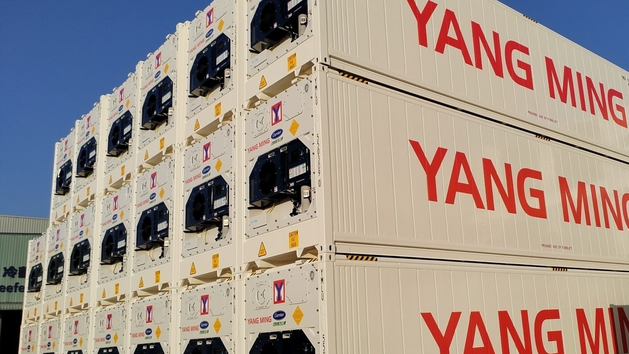 Yang-Ming-Container-PL-Lynx