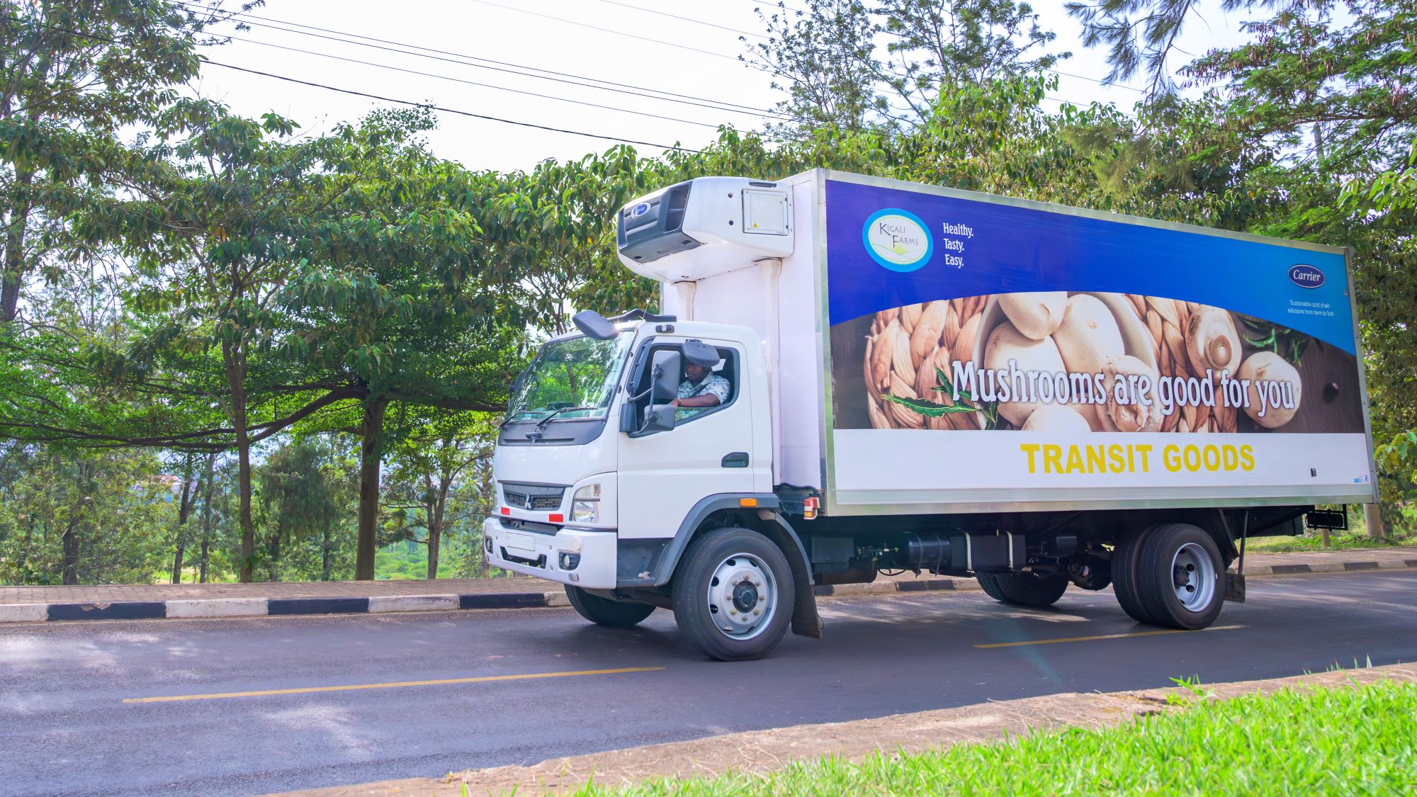 Carrier-Refrigerated-Transport-Kigali-Farms