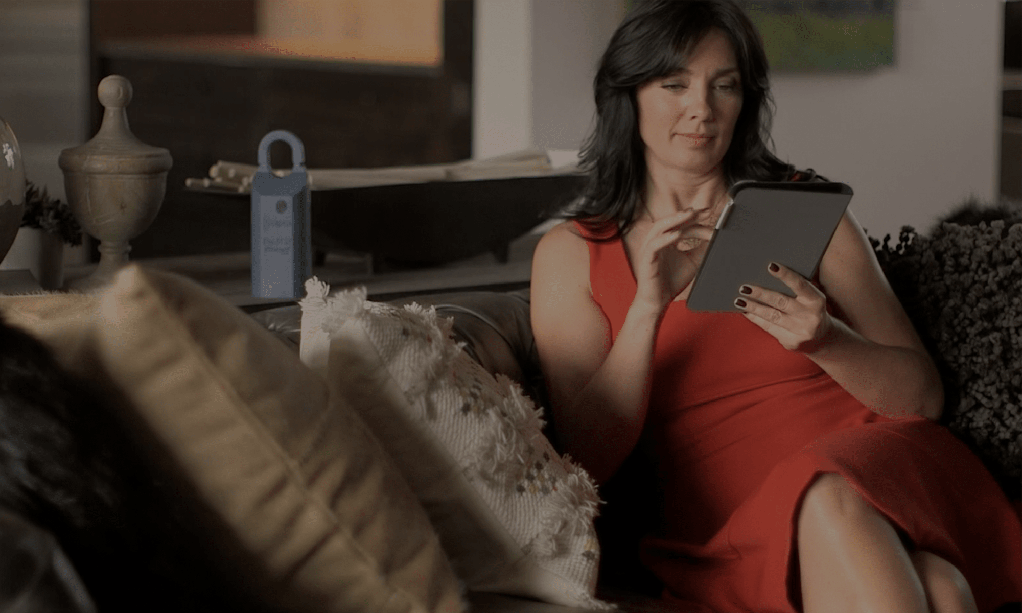 Video snapshot featuring home tour